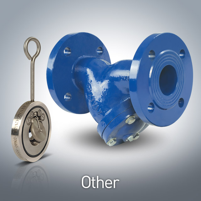 Other Valves