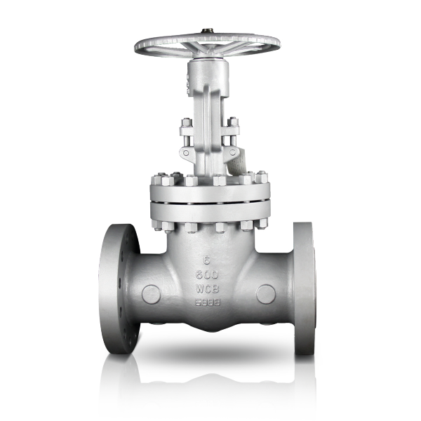 CGAV Gate Valve