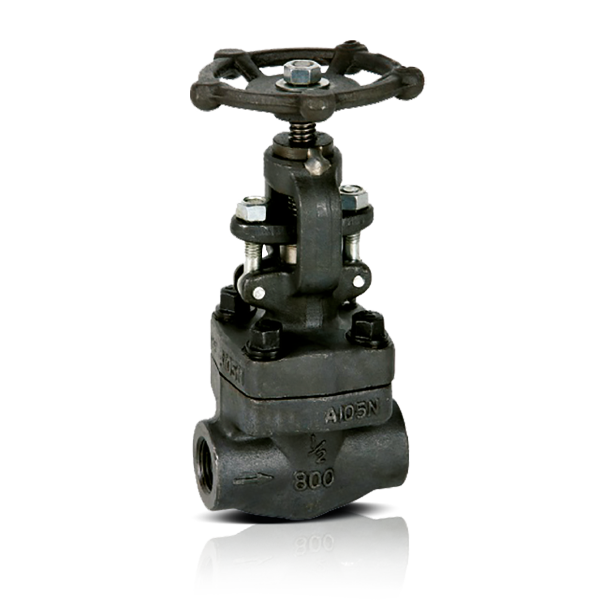 FGLV Globe Valve