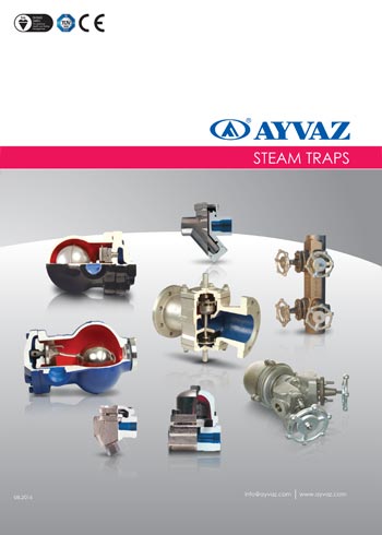 Steam Traps